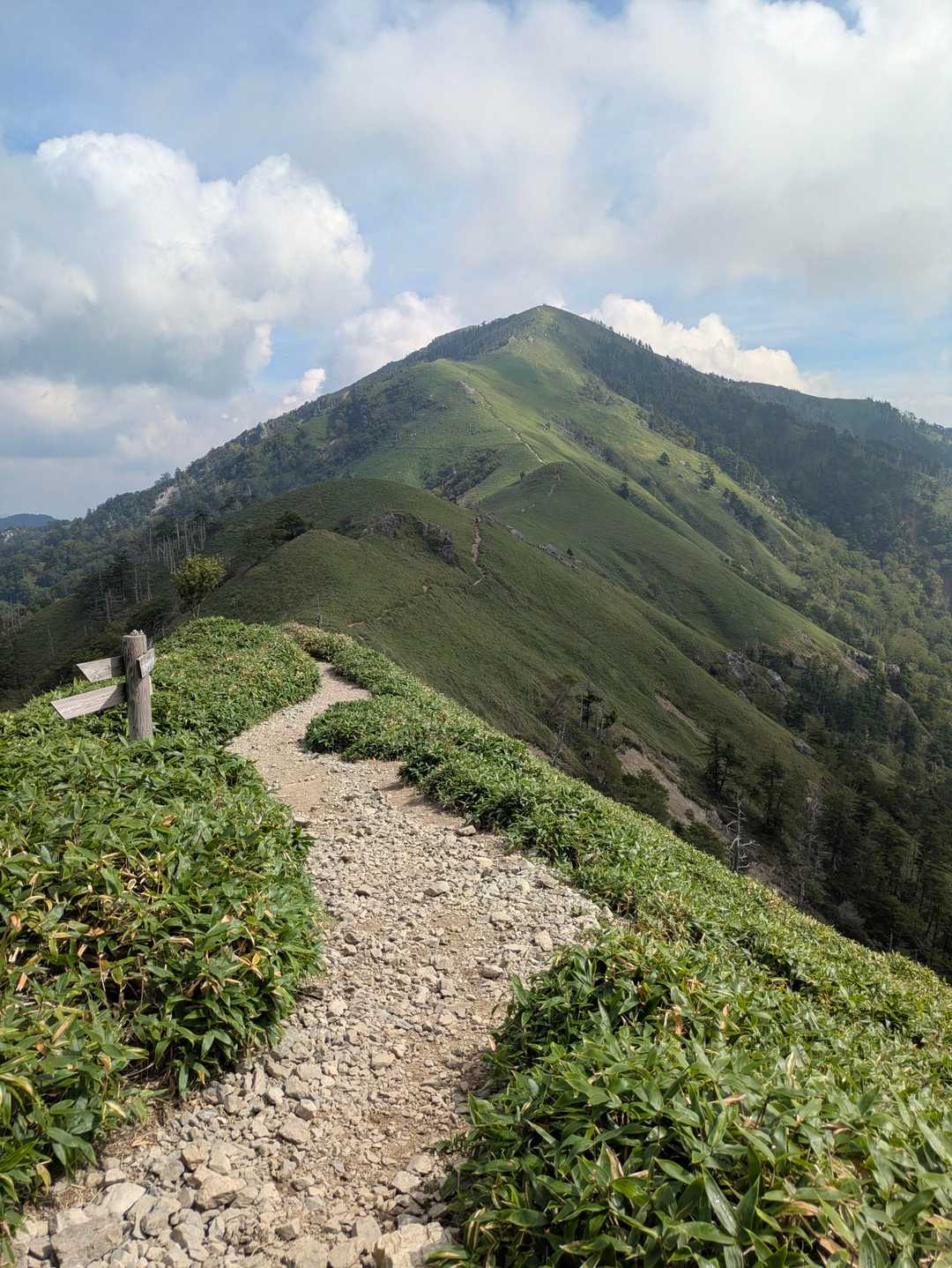 こちら太郎(剣山)もエエ😃