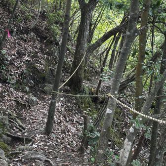 昔より、道幅狭くなってて、ロープを張ってある場所が増えました‼️