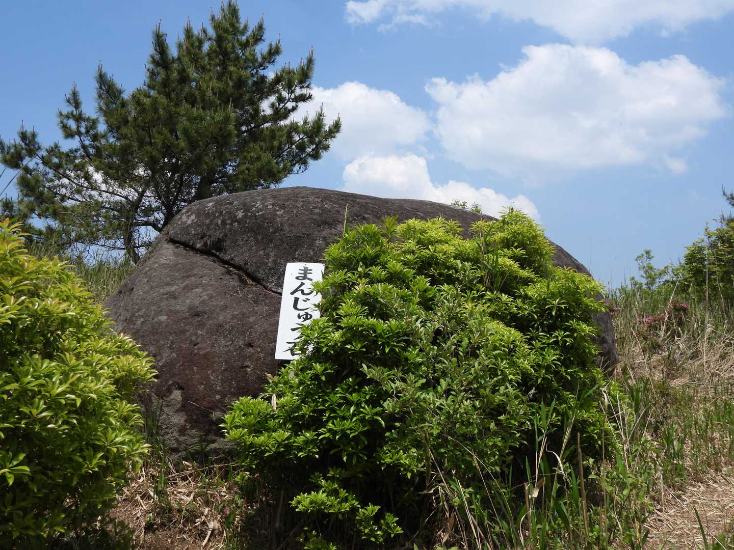 まんじゅう石