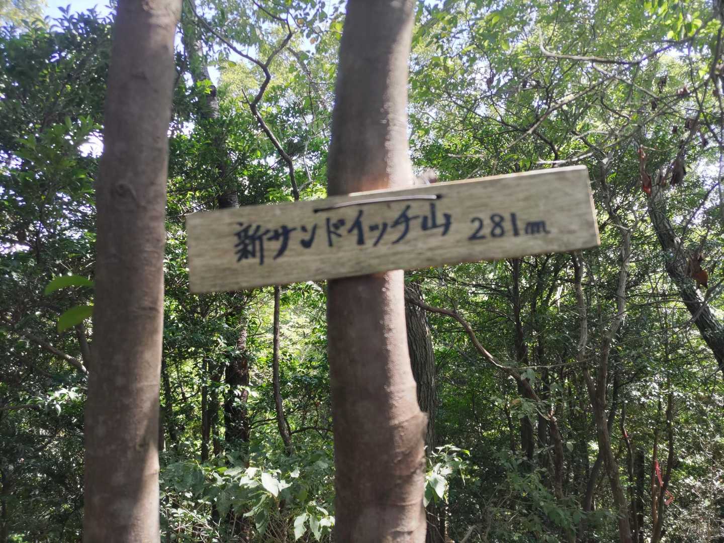 まだアブラセミが鳴いています
夏、真っ盛りって感じ