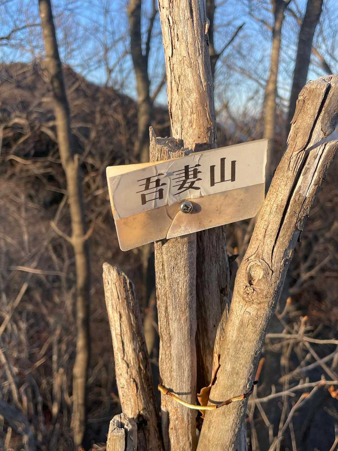 富士見峠-中十二神社-吾妻山 往復コースの写真