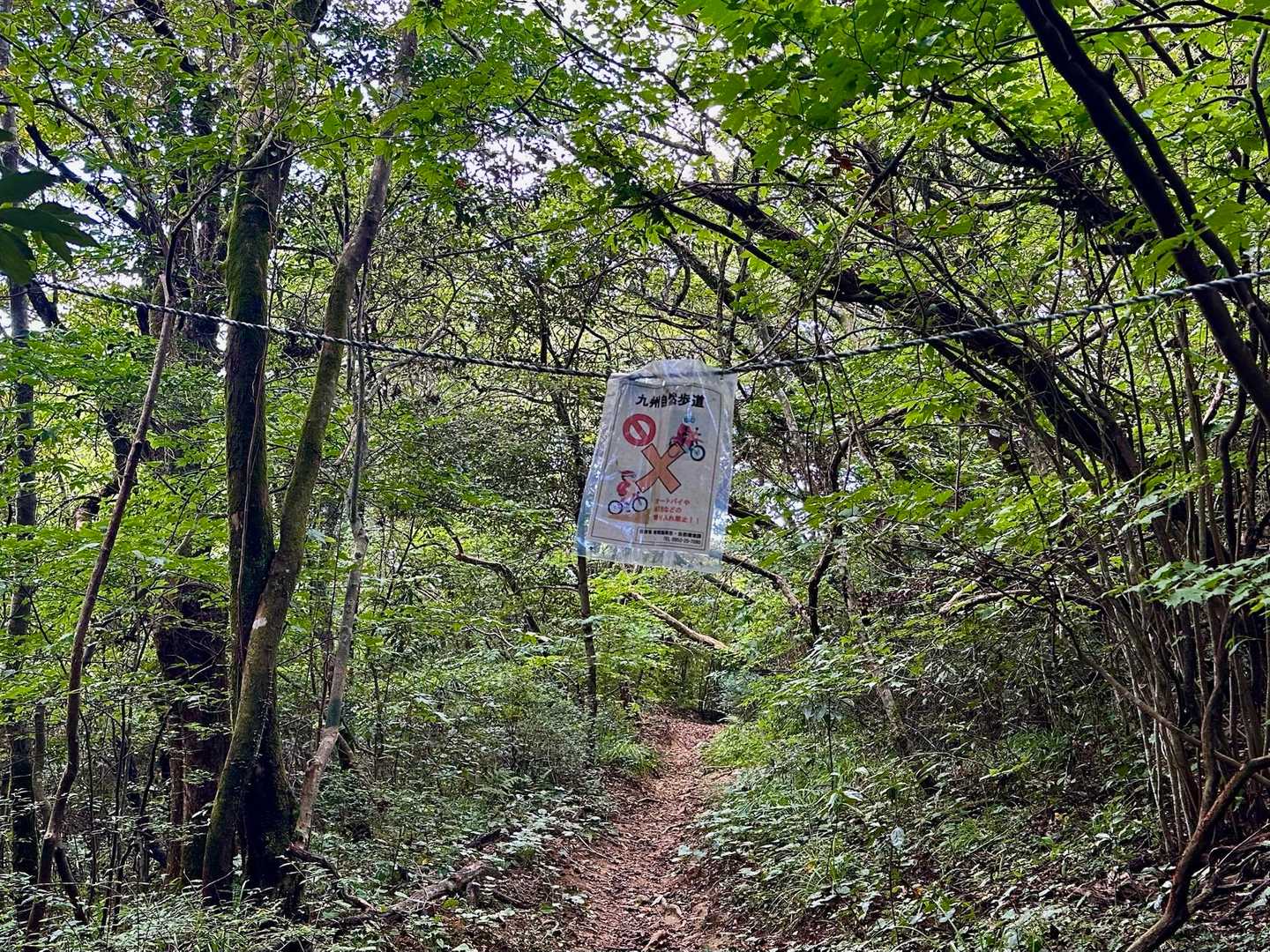 この道は、九州自然歩道です