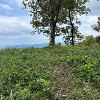 白石山に戻ってくる