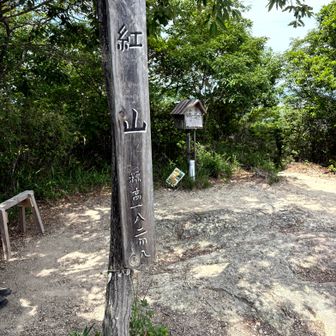 いつもにぎわっているのですが、今回は誰もいませんでした。