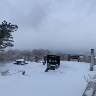 今年の初ピーク^ ^