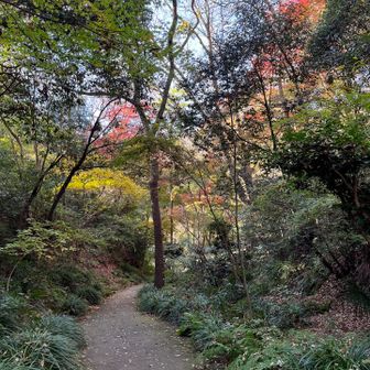 動物園のある金沢自然公園はとんでもなく広くて素晴らしい