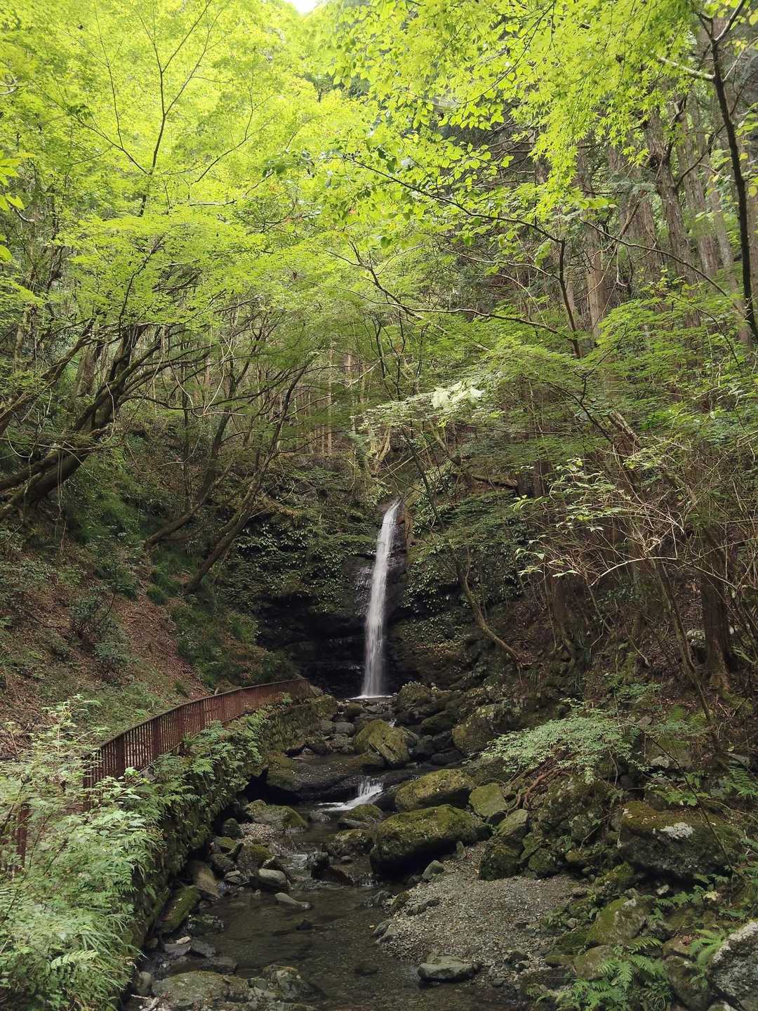 趣きのある大滝でした。
滝畑の奥地にこんな秘境があっただなんて…