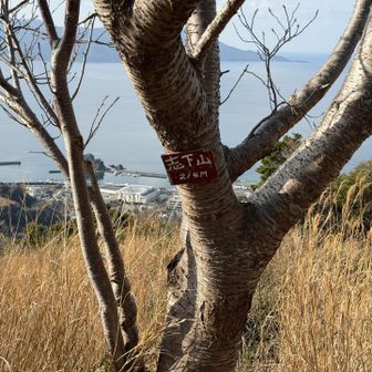 志下山、この辺り駿河湾が綺麗です