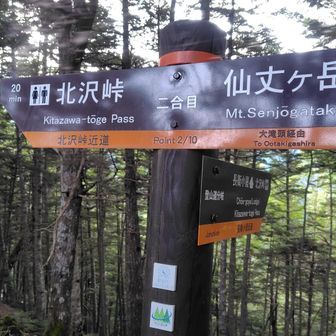 尾根道と合流
