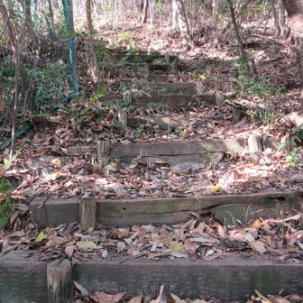 いきなり急階段