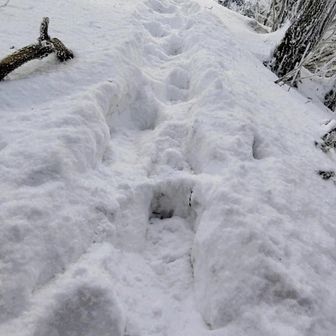 ズルズル滑り降りて来た