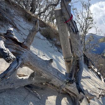 ずっと曇天や小雪だったのに山頂では晴れ間が