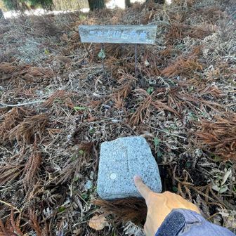 しばらく探したら三角点🖕あった