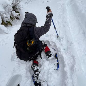だけど転けたらなかなか起き上がれない息子。笑