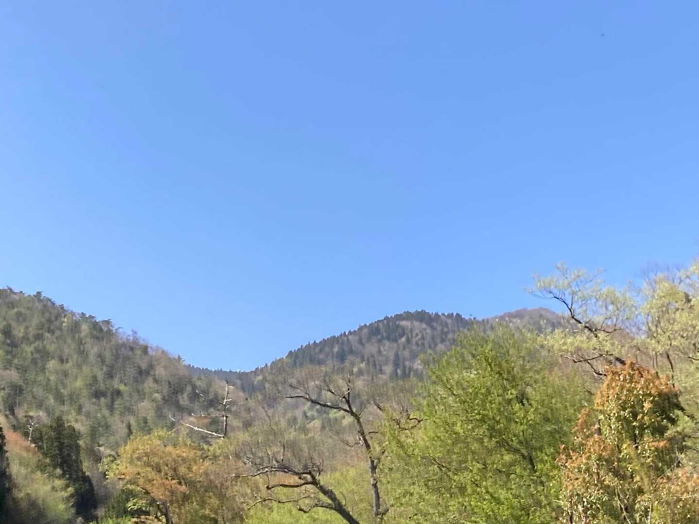 今日登った山が見える　いいお天気でよかった〜
また来たいな‼️