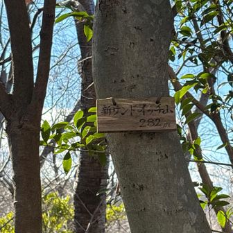 新の方だけ行きました