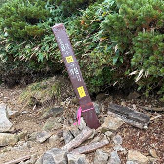 さあ、ここから又急登を降りますよ…