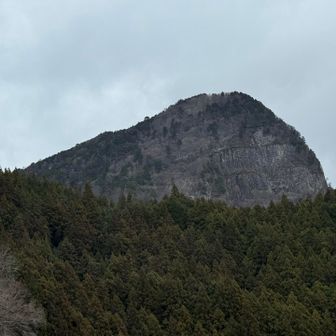 見る角度でいろんな顔を見せてくれますねぇ〜