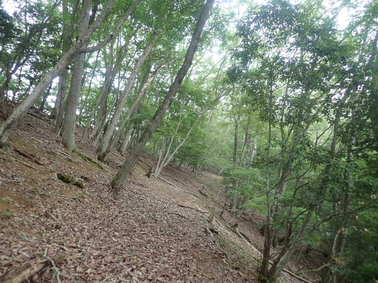 道は分かります