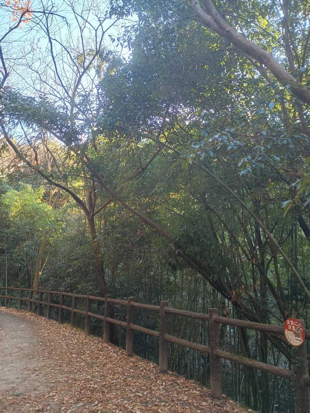 国見山登山口-国見山 往復コースの写真