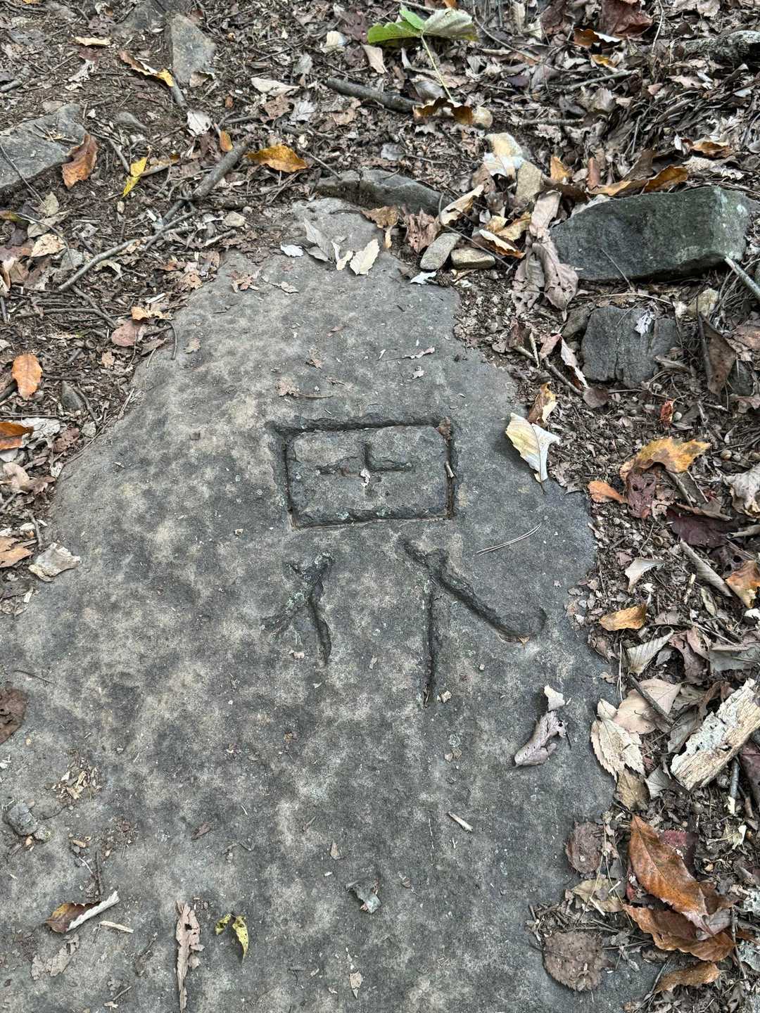 界！？