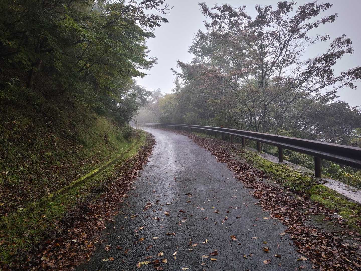 下りは車道で