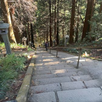 この階段を登ってきて参拝するのでした💦私は明神ヶ岳から降りてきたので登っていません🤗
