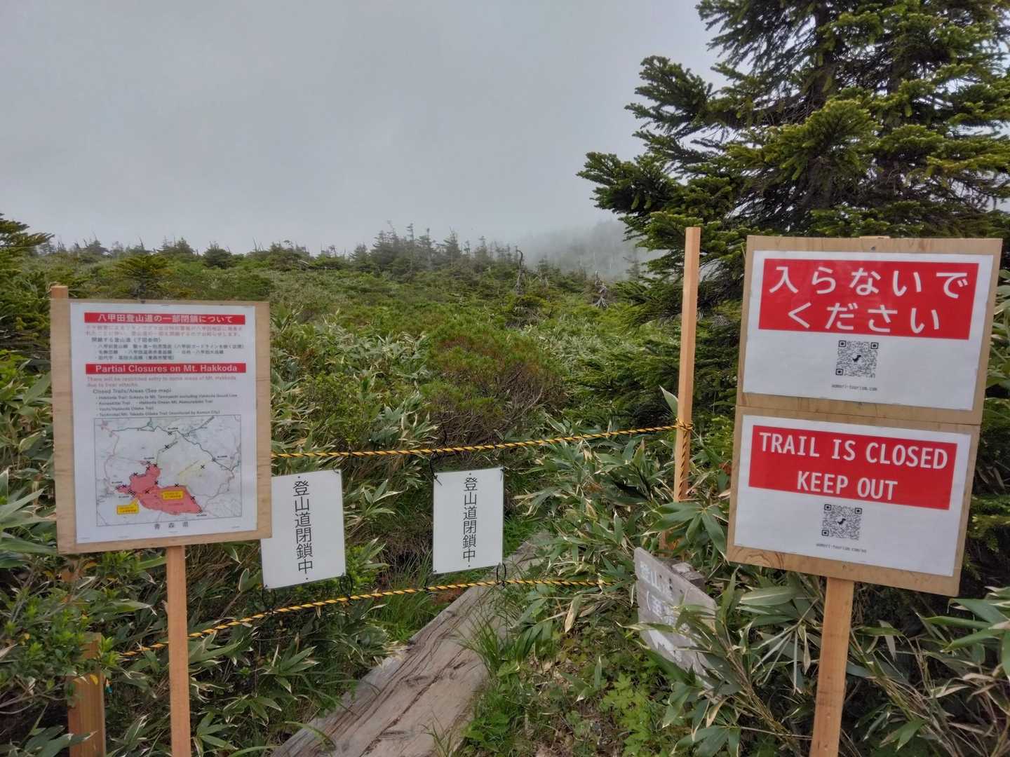 八甲田山を周回で歩きたかったけど、クマによる人身被害でここからは通行禁止⚠️