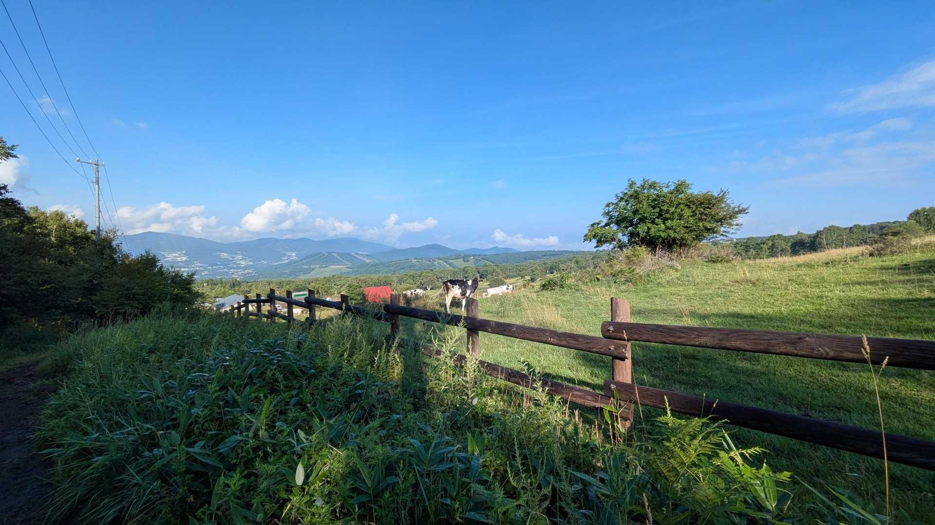 牧場