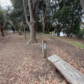 無理くりライン合わせてきた