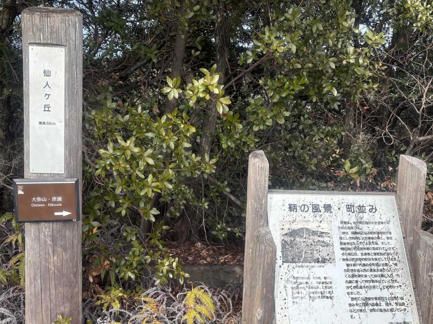 仙人ケ丘　到着