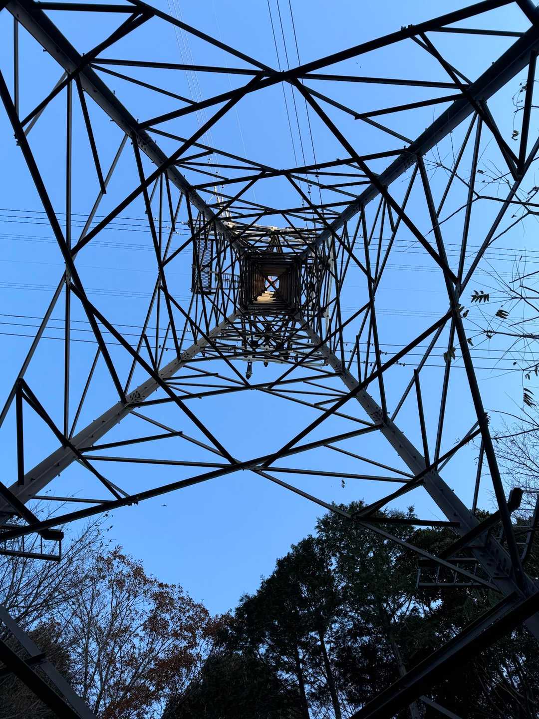 五井山 往復コースの写真