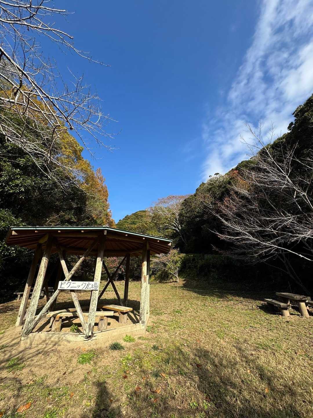 天神山 往復コースの写真