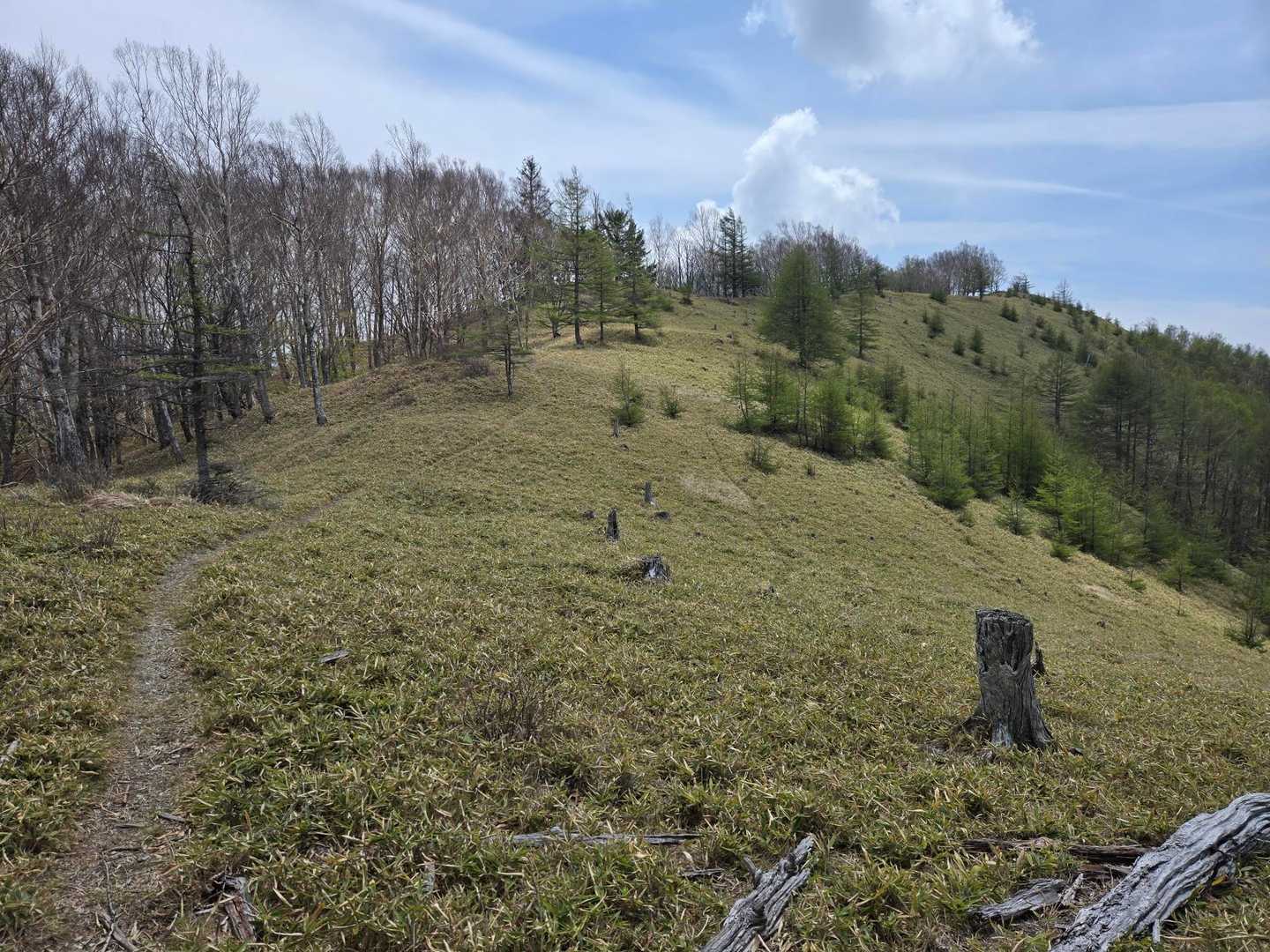 分杭峠-入野谷山-パノラマ尾根の頭 往復コースの写真