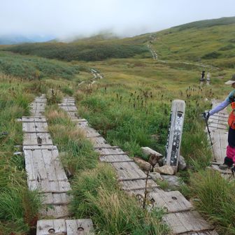 分岐から駐車場へ下る