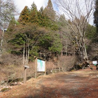 登山口に到着！
駅からここまで結構遠い（約1時間）