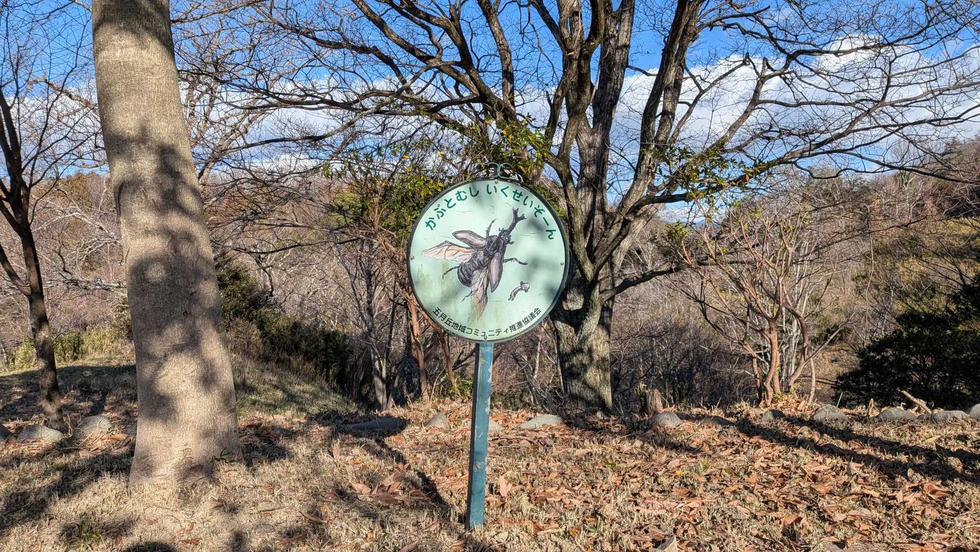 カブトムシ、沢山育って欲しい🪲