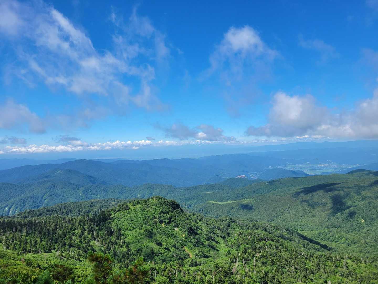 刈田峠-前山-杉ヶ峰-芝草平 往復コースの写真