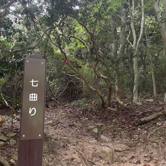 ここからが今日一番キツかった💦