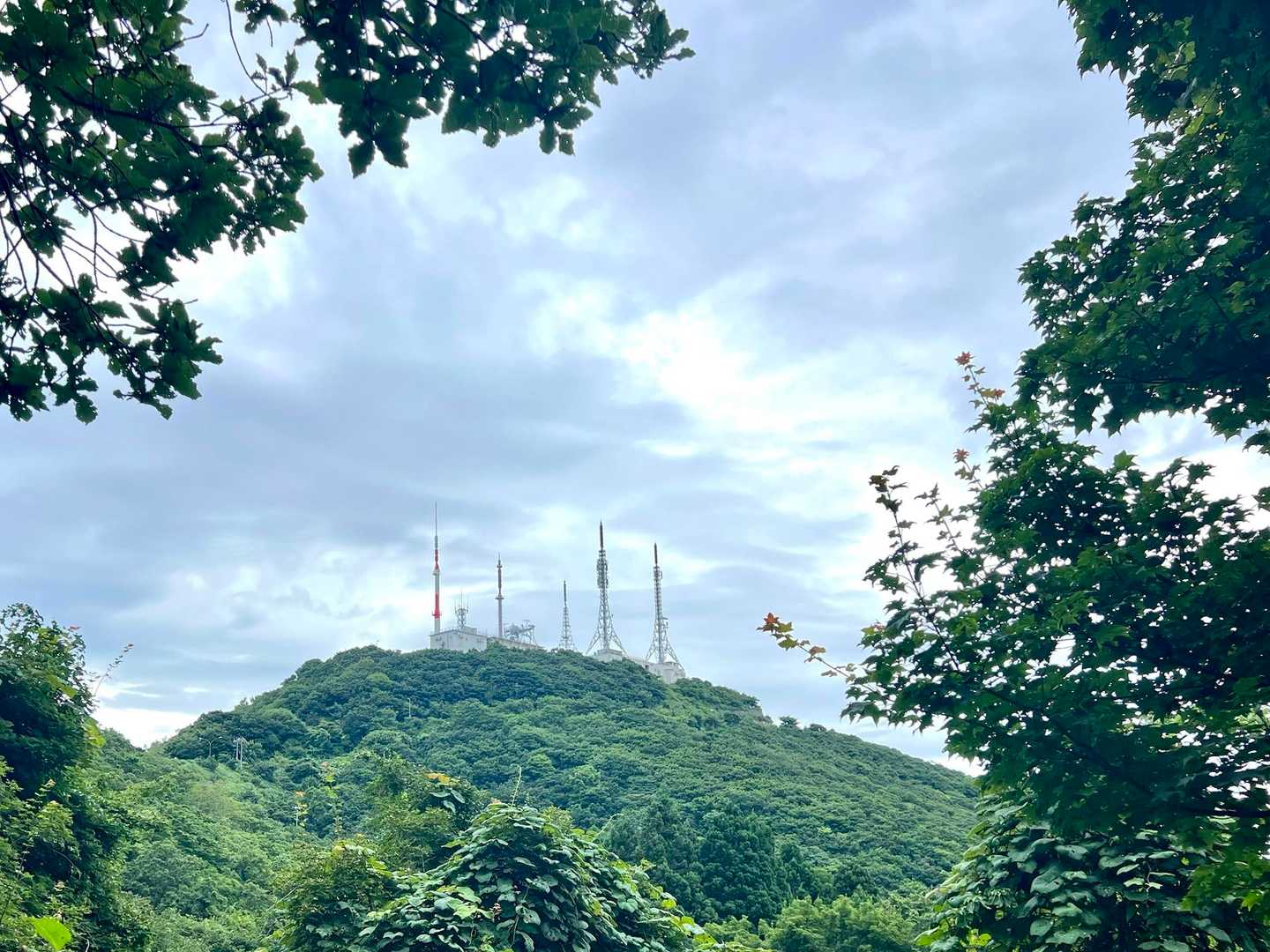 下山途中に山頂チラリ✨
