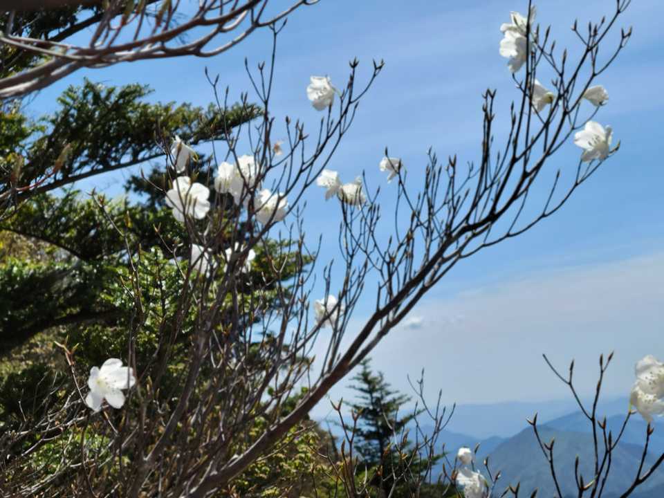 わぁい🙌白いの、ありました✨なんて清楚❣️