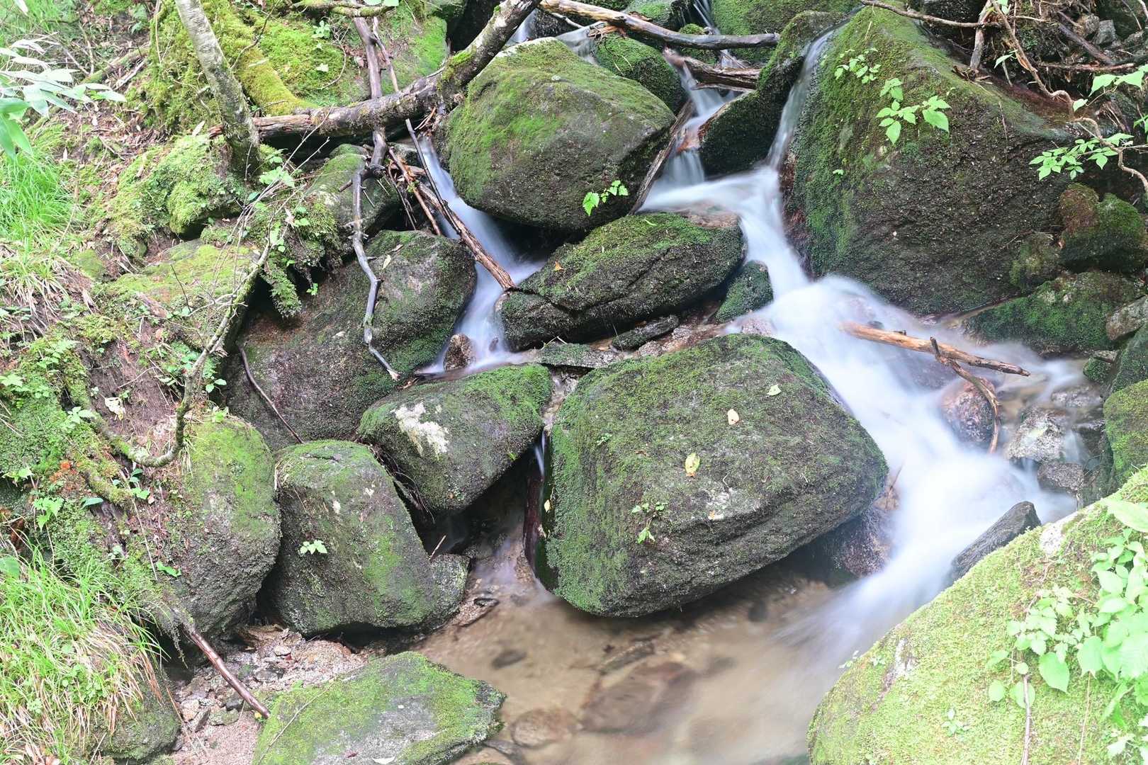沢があったら撮りたくなる