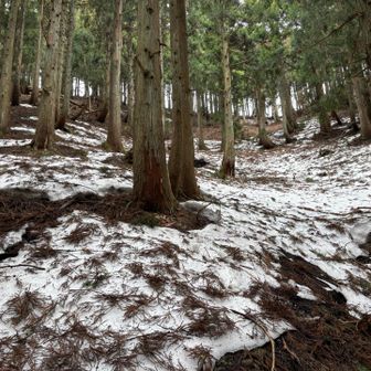 下りてきた斜面