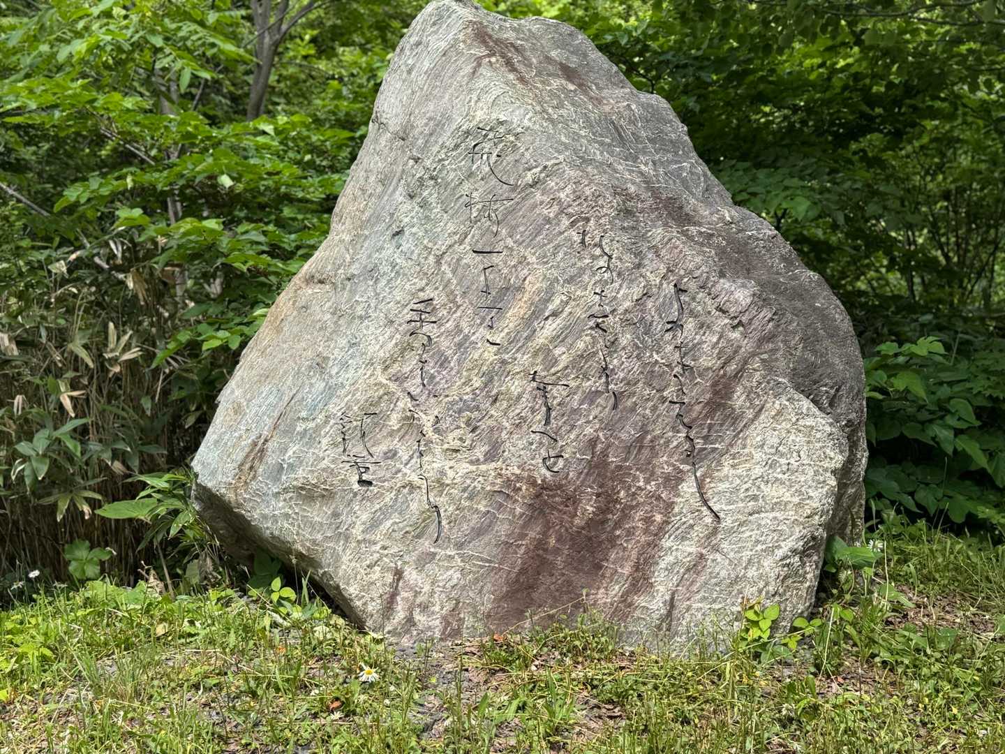 旭山 往復コースの写真