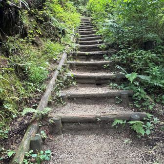 何となくカラダがだるい････