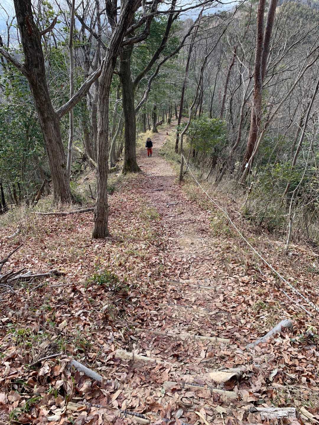 大谷山に向かい中⛰