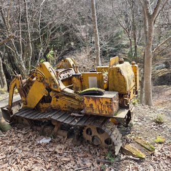 富士山のワゴニアを彷彿。いつか土に還るかしら？