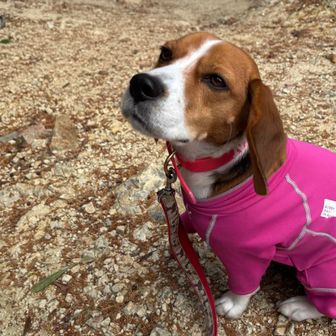 山頂でワンちゃん🐶連れた地元のYAMAPされてる女性ハイカーさんに逢い🥰雨山のコースのことなどいろいろ話しました。
