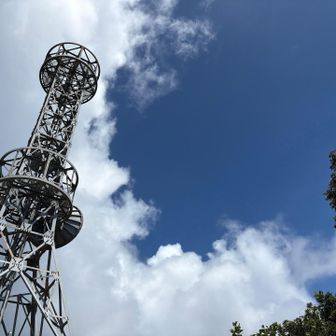 夏の空！
実は雨が降ったあと。登山中、降られなくてよかった