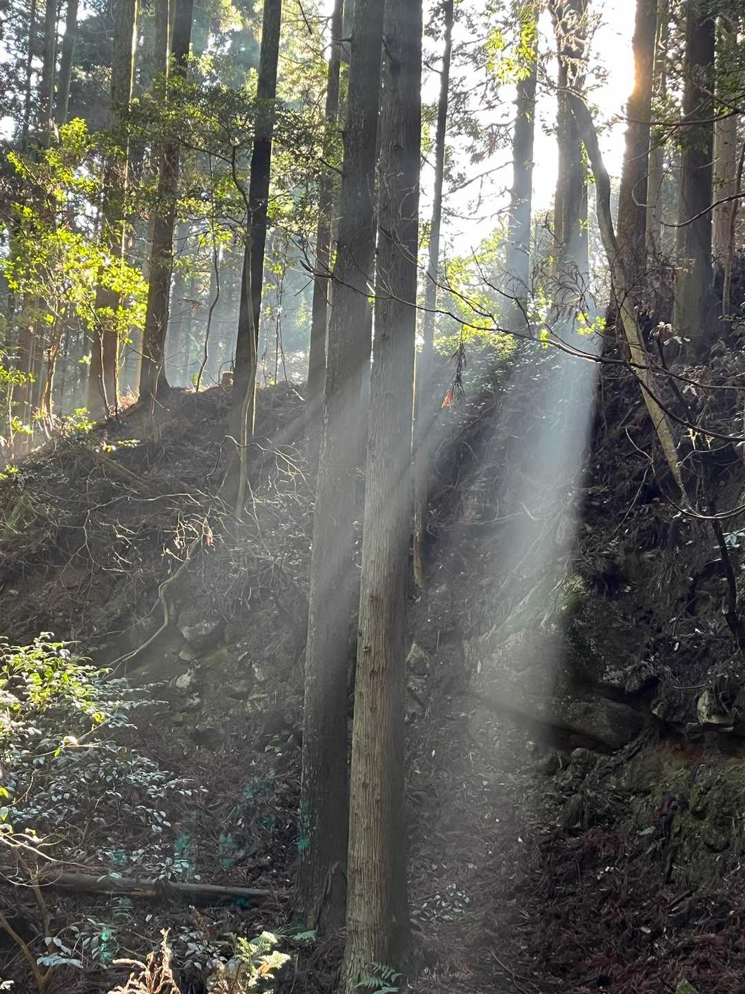 見事な天使のハシゴ
あの世に連れて行かれるかと思いました😇